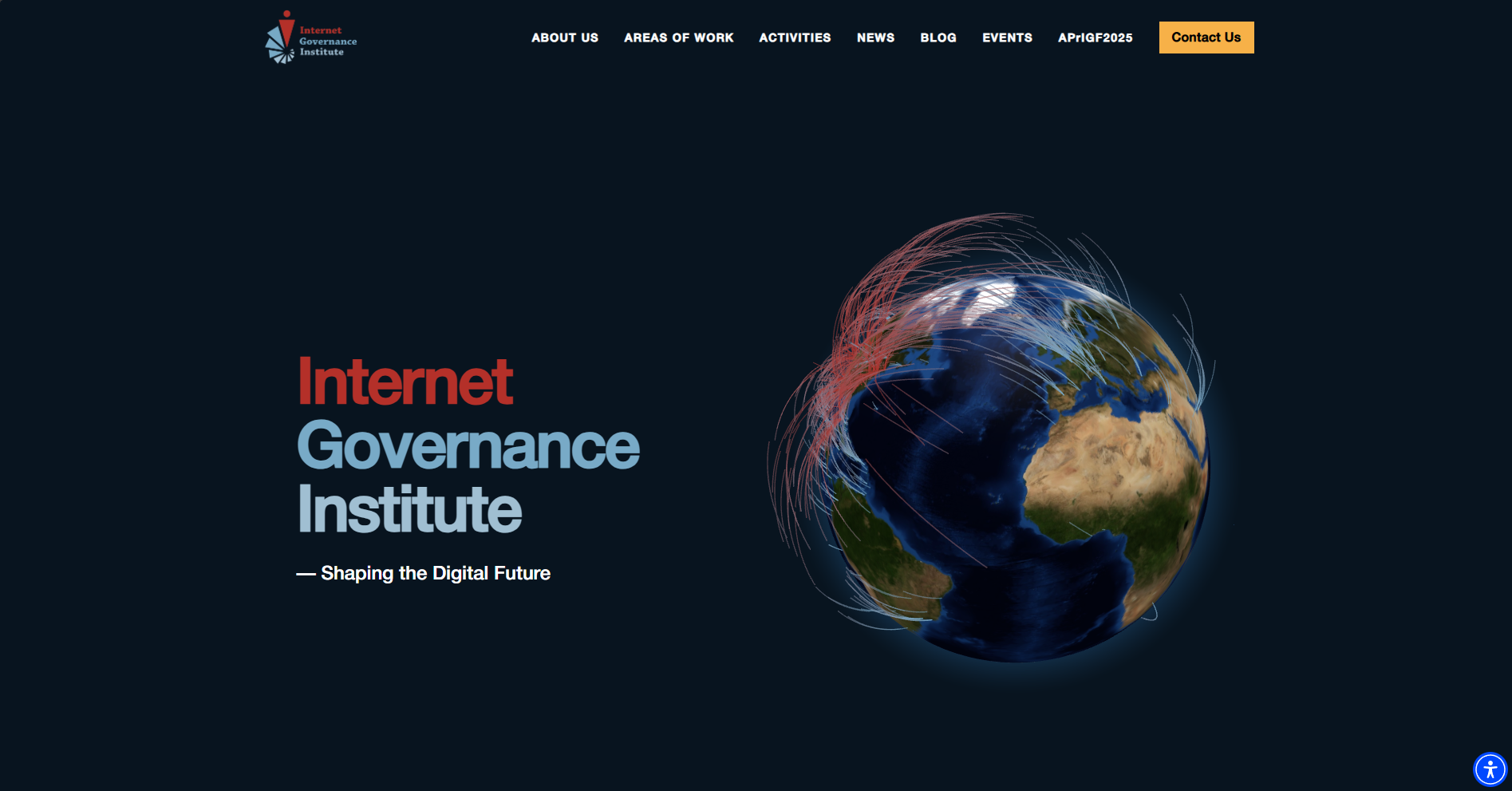 Internet Governance Institute